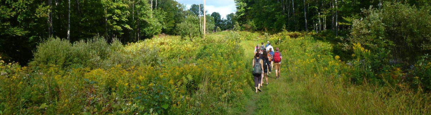 Students walking through field in Barre Town Forest