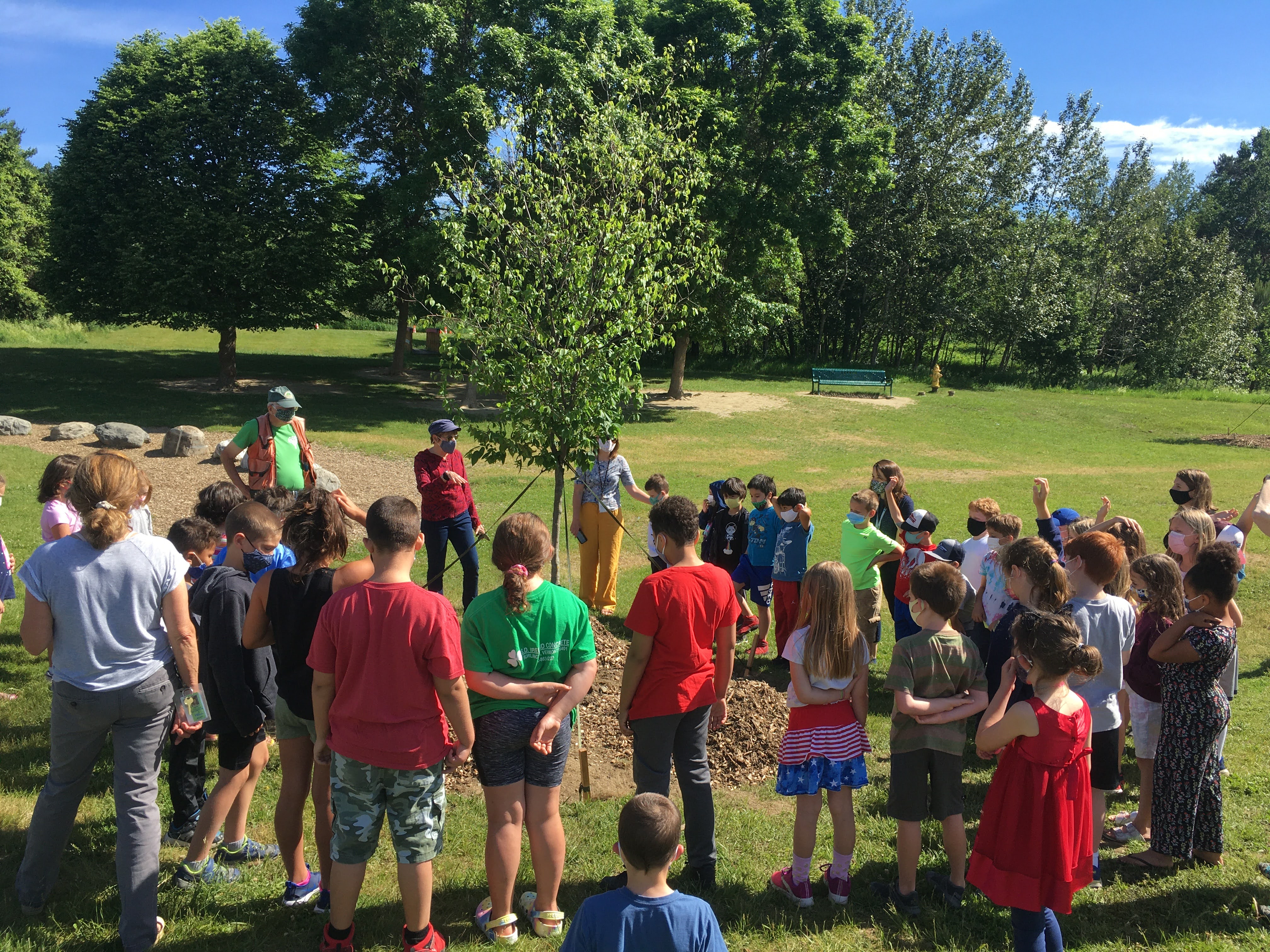 Tree planting in Essex