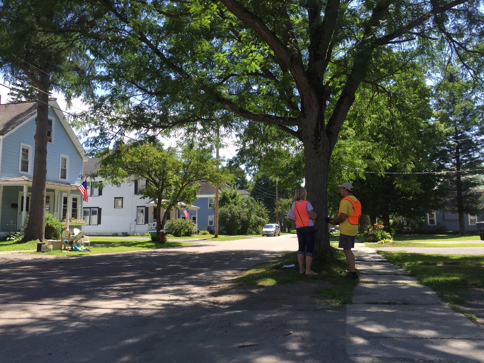 Waterbury Public Tree Inventory