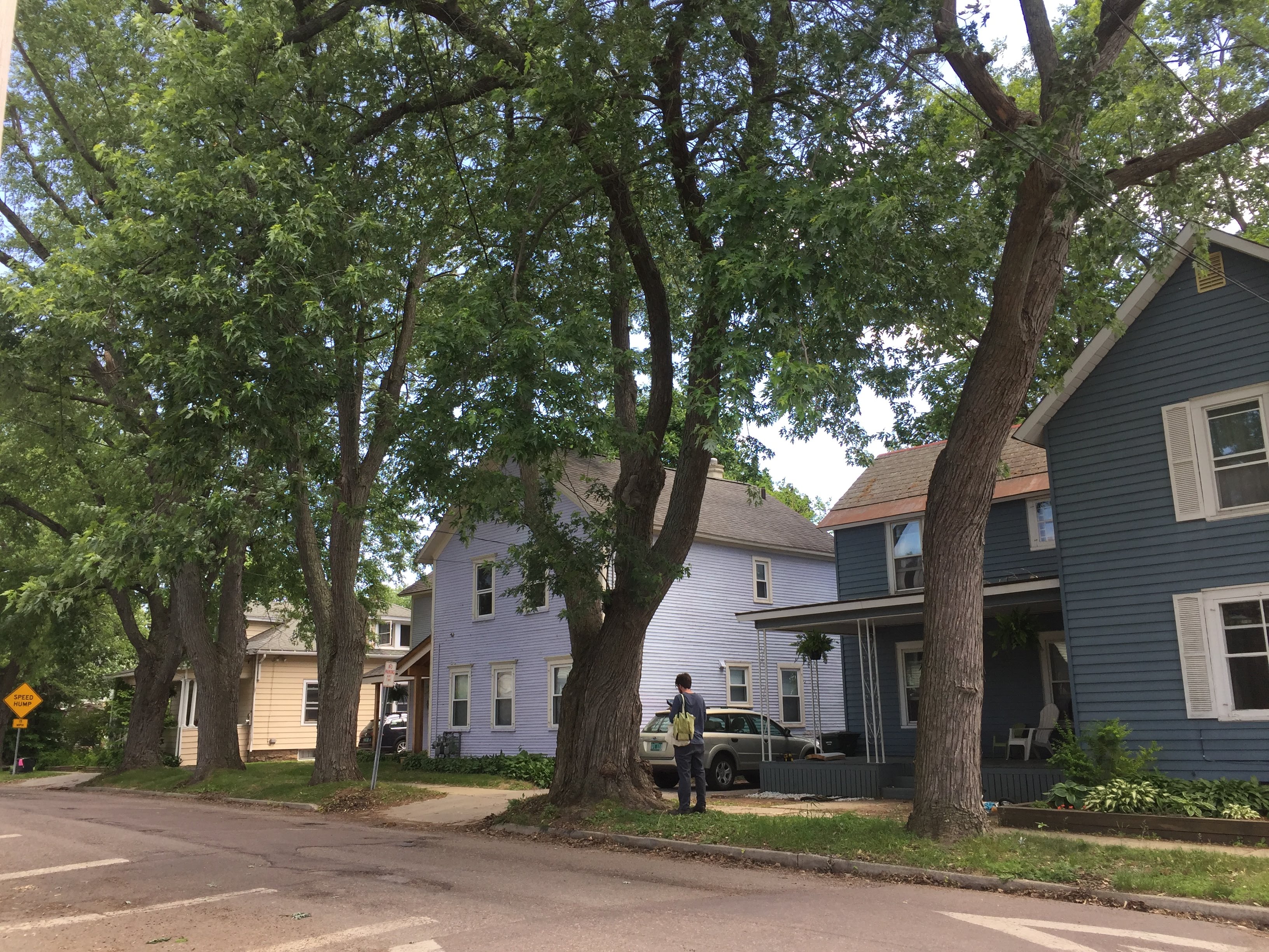 Winooski Tree Inventory