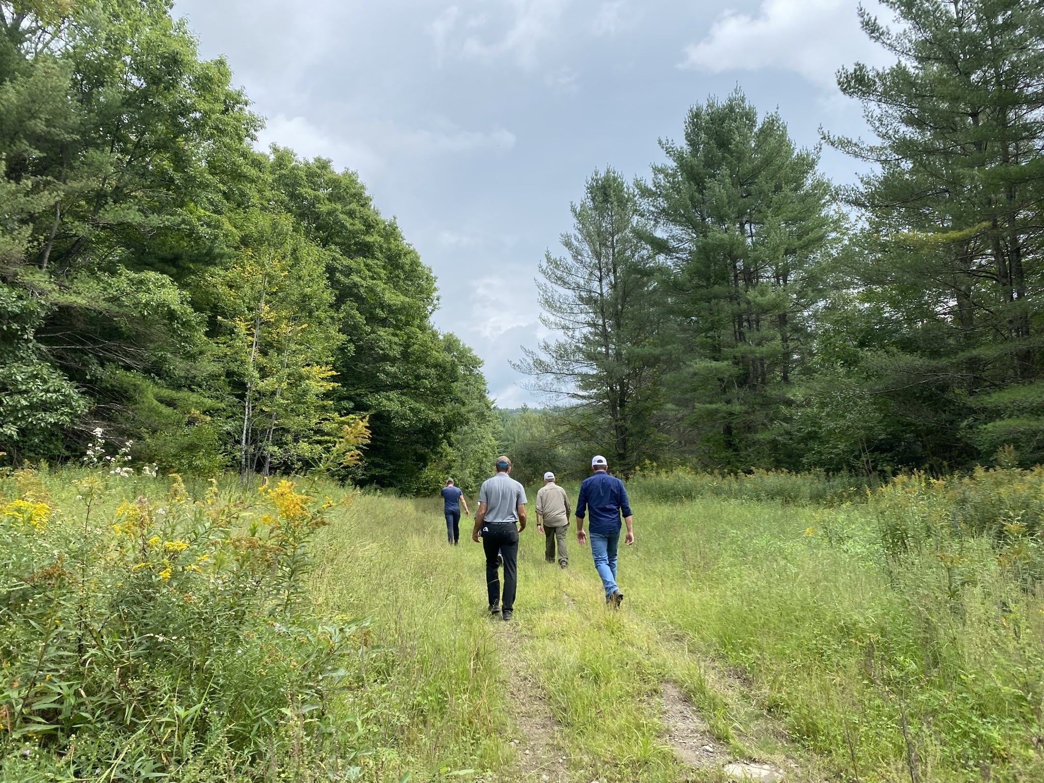 Andrews Town Forest