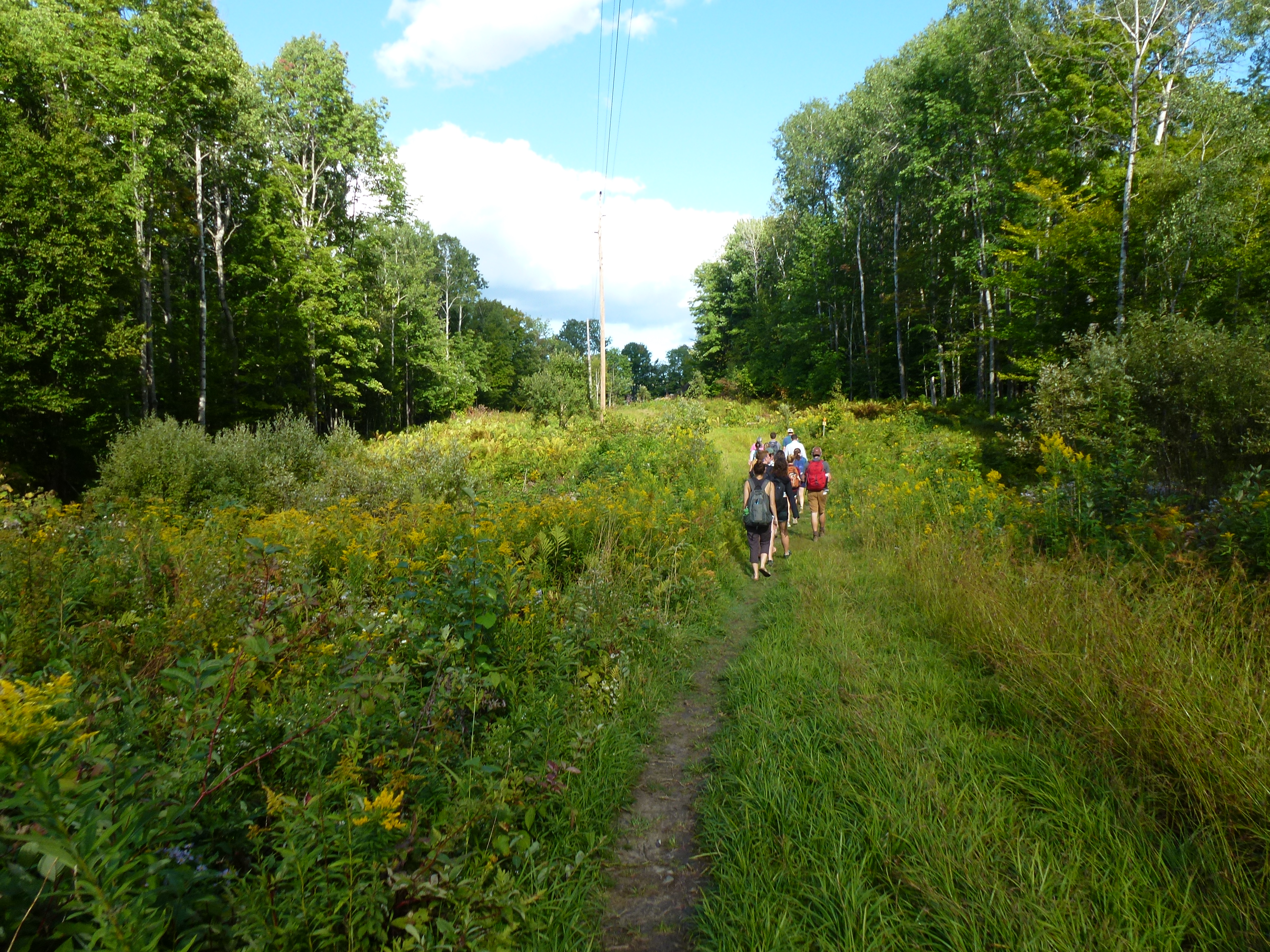 Students walking through field in Barre Town Forest