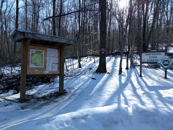 Town Forest Stories Pod | Vermont Urban & Community Forestry Program