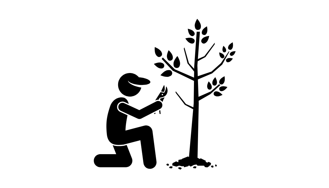 icon pruning tree