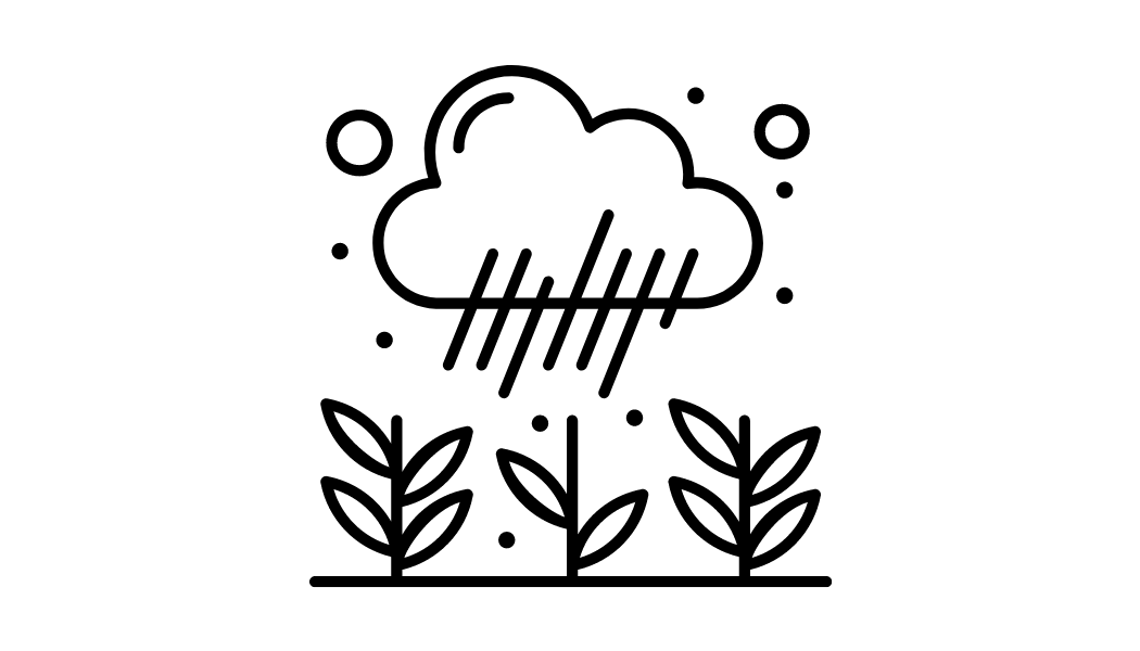 Icon rain garden