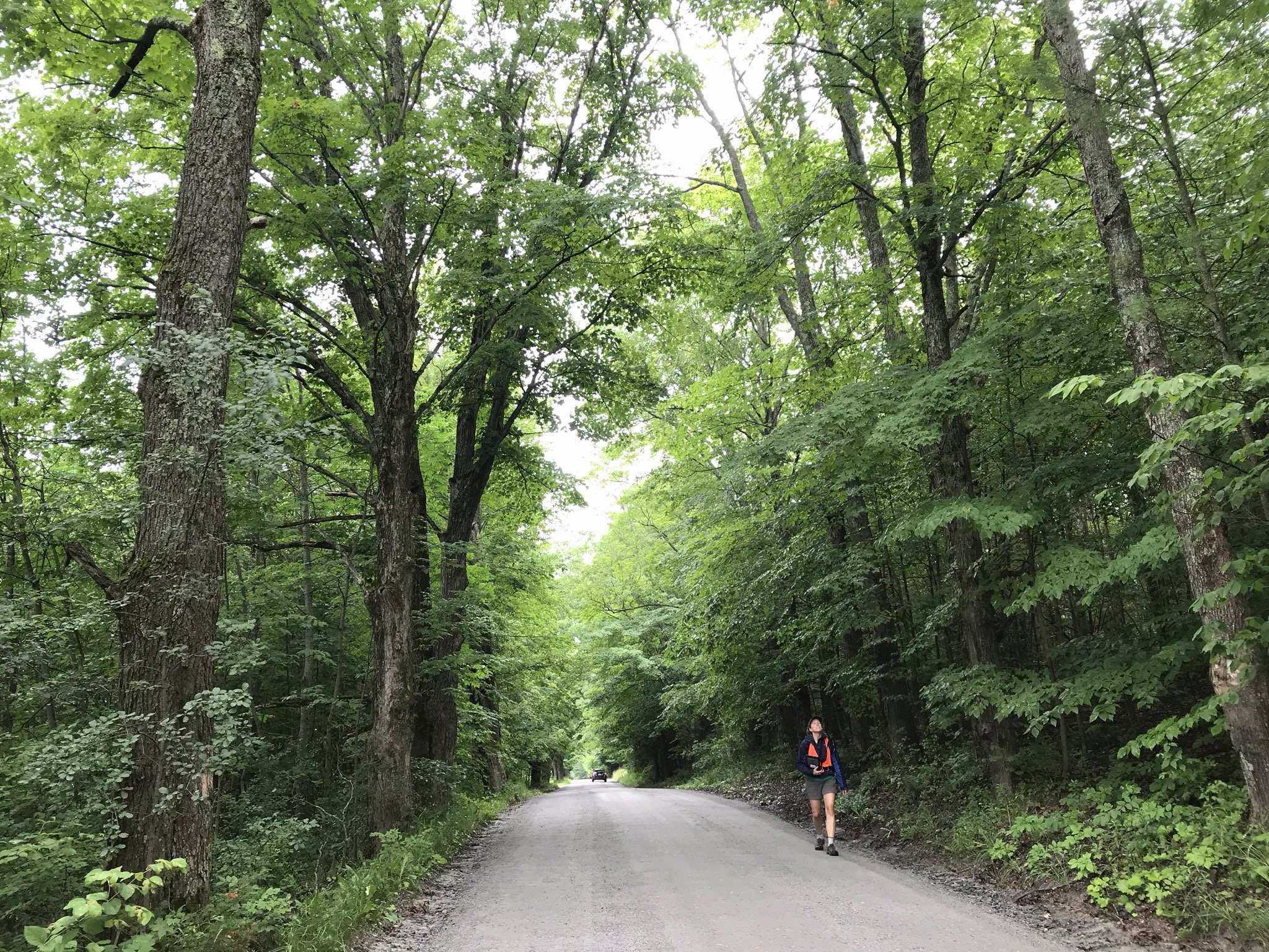 Rural roadside inventory Plainfield