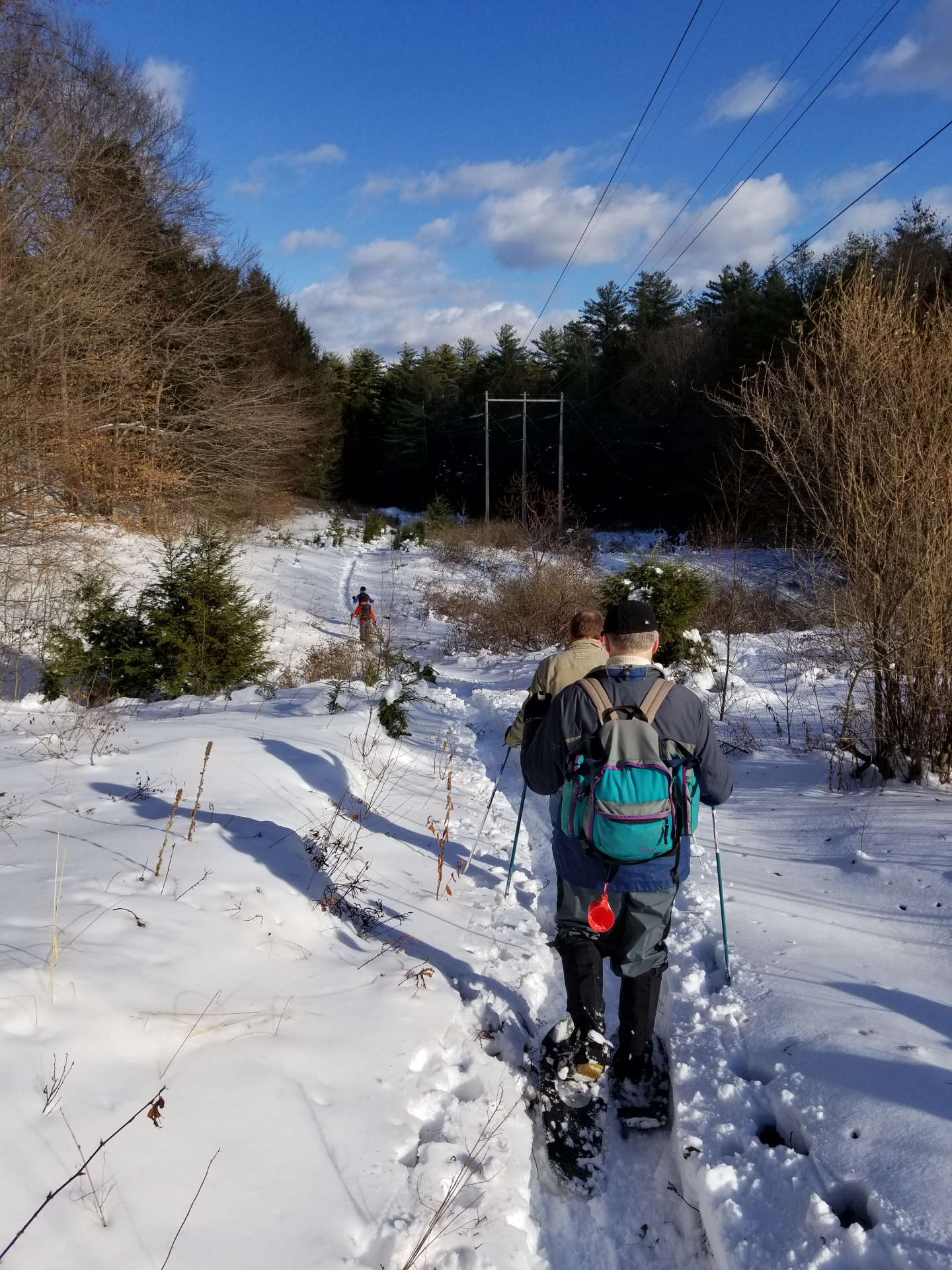 weathersfield walk winter