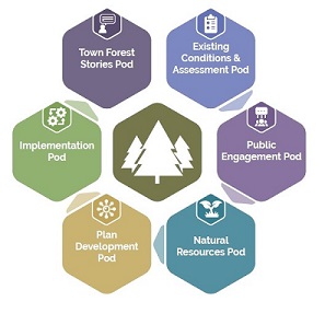 Town forest toolkit pod logo