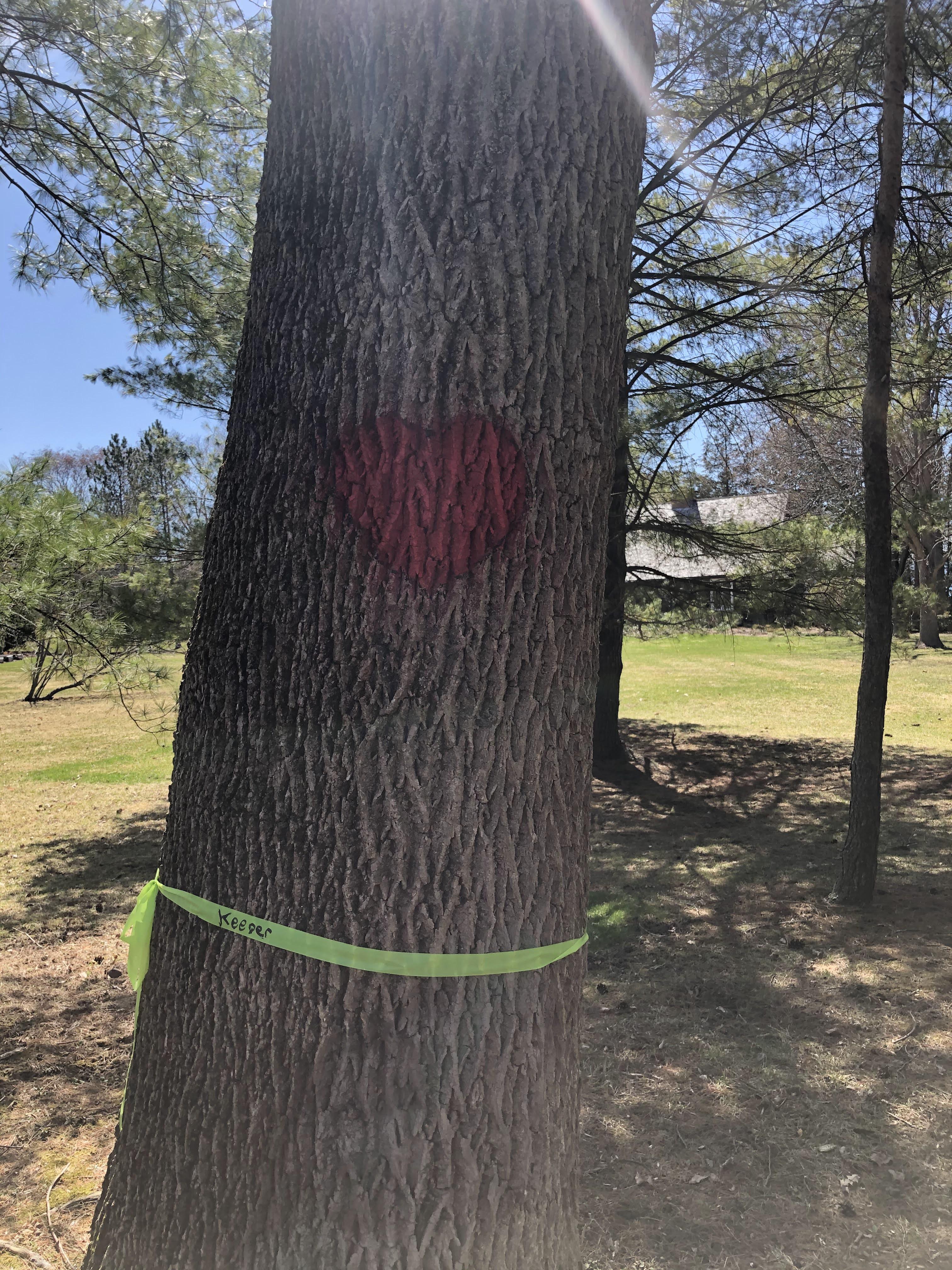 White ash with red painted hear