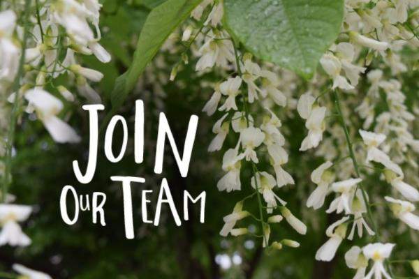 Join our team with black locust flowers
