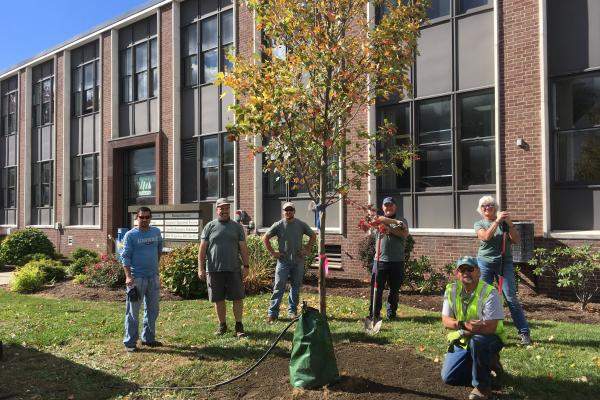 Rutland tree planting