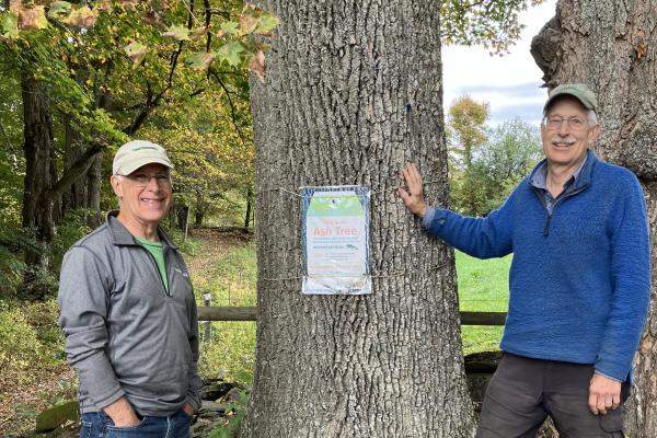 Jeff Cueto and Paul Cate of East Montpelier stand next to a white ash tree.