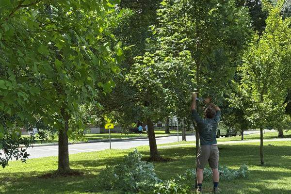 Structural pruning