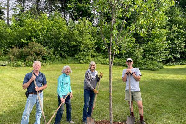 Burke Tree Planting