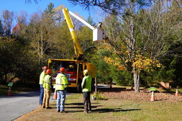Arborist Day of Service