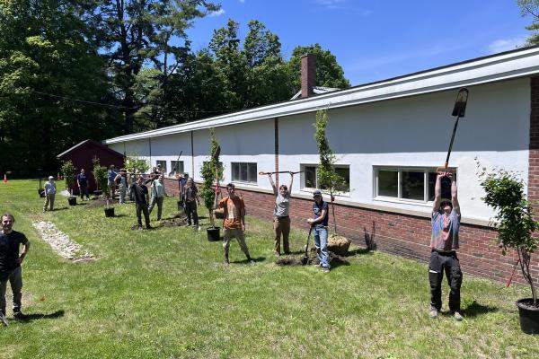 Many enthusiastic students planting trees together in the sun.