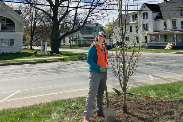 person standing next to newly planted tree