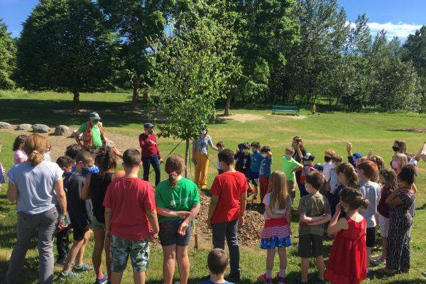 Tree planting in Essex