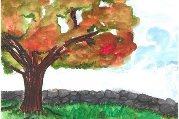 Growing Works of Art 2019 William Burkholder