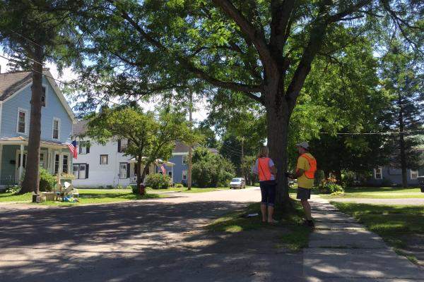 Waterbury Public Tree Inventory