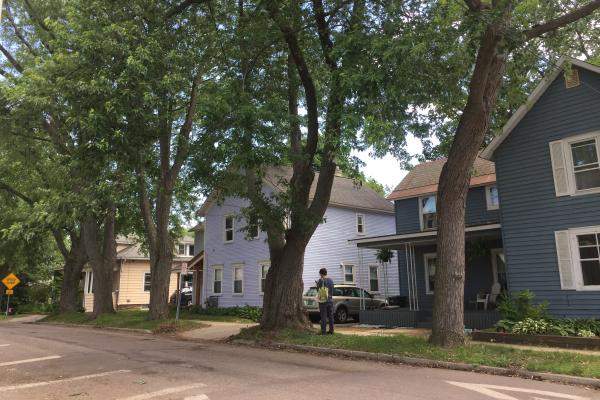 Winooski Tree Inventory