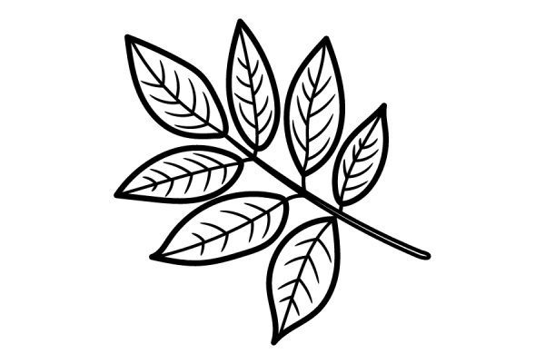 icon compound leaf