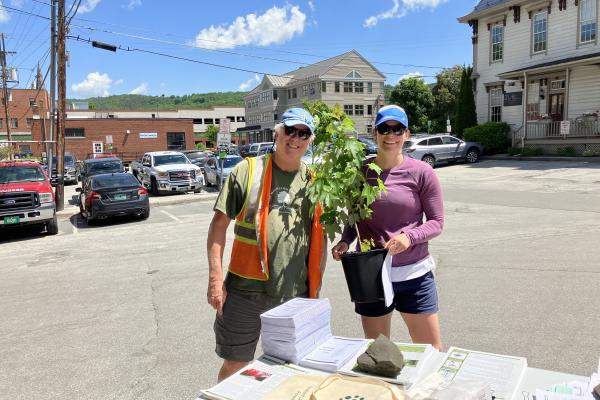 Tree Pick Up Event in Montpelier