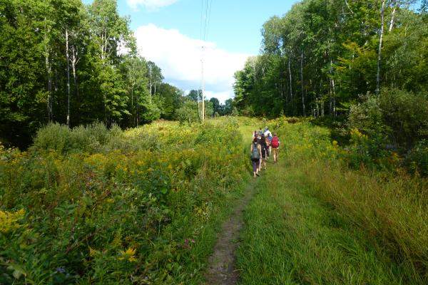 Students walking through field in Barre Town Forest