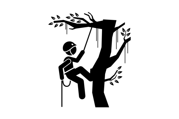 icon arborist in tree