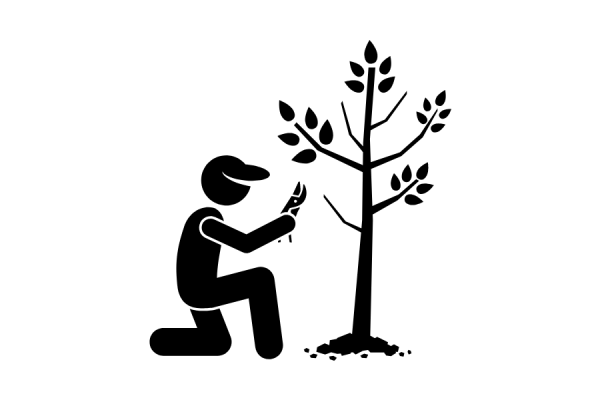 icon pruning tree