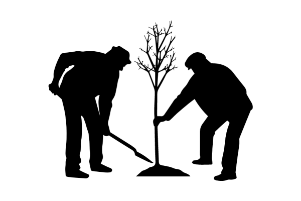 Icon. Tree planting