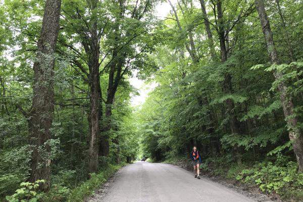 Rural roadside inventory Plainfield