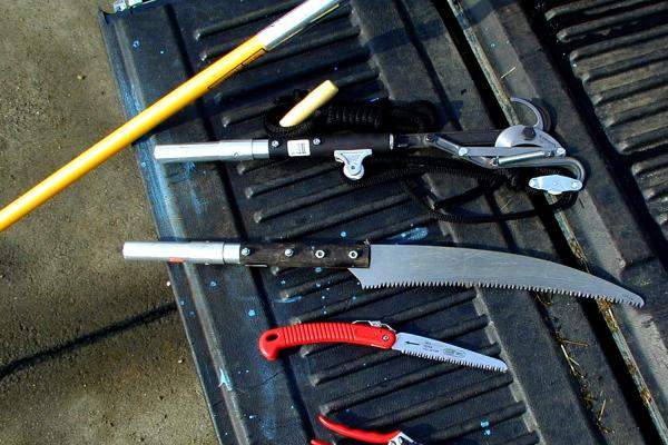 pruning tools