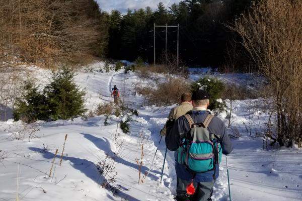 weathersfield walk winter
