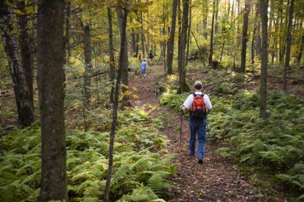 Hikers in town forest