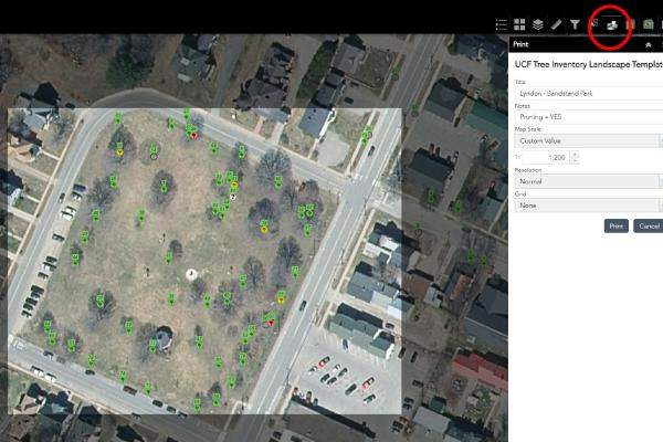 Slide from the municipal tree inventory training