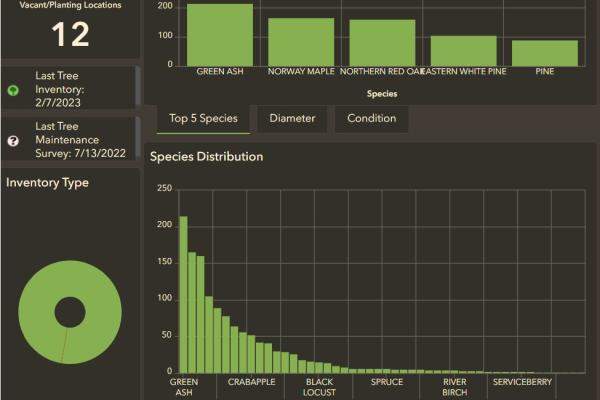 Graphs of Municipal Tree Inventory Data