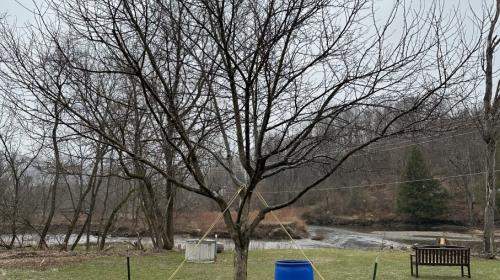 Crabapple moved and planted at the Johnson Arboretum