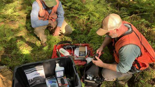Forest Health Program staff Liam Farley and Andrew Hirsch prepare to inject the black ash trees.