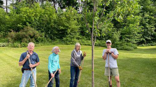 Burke Tree Planting