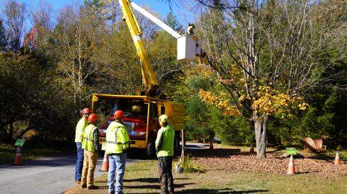 Arborist Day of Service