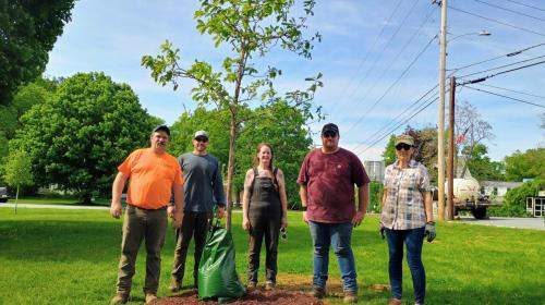 Community Tree Fund planting