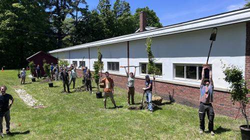 Many enthusiastic students planting trees together in the sun.