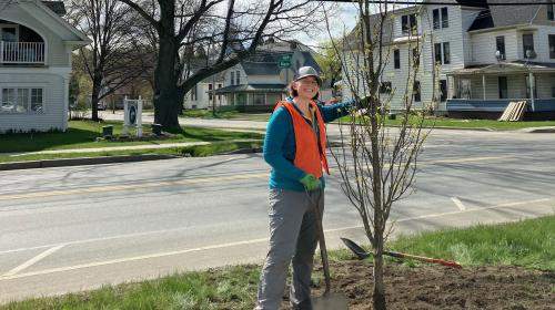 person standing next to newly planted tree