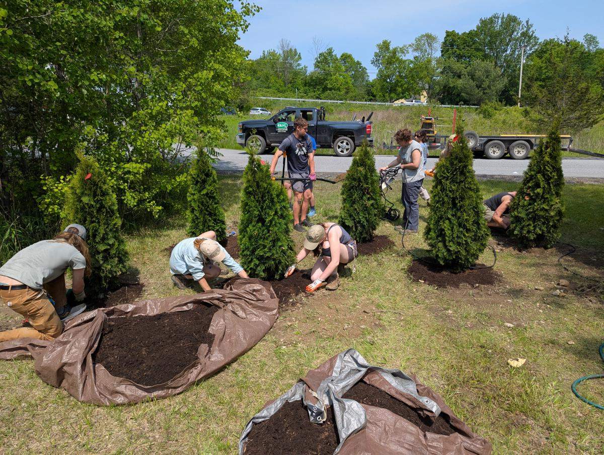 cedars at Carpenter-Carse library