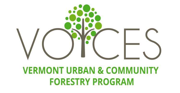 Voices logo