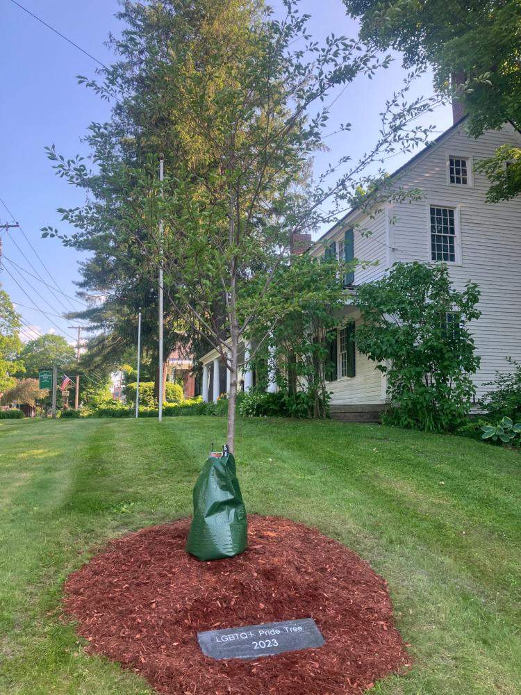 Vermont Pride tree and monument