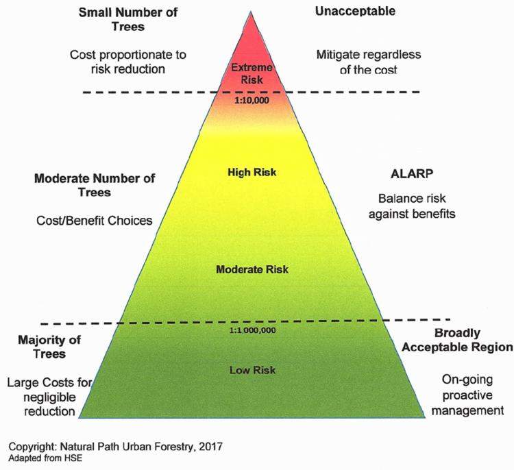 Tree Risk Triangle