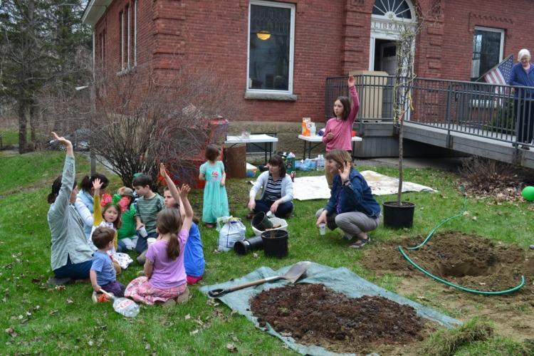 Crabapple planted in 2015 at the Johnson Library