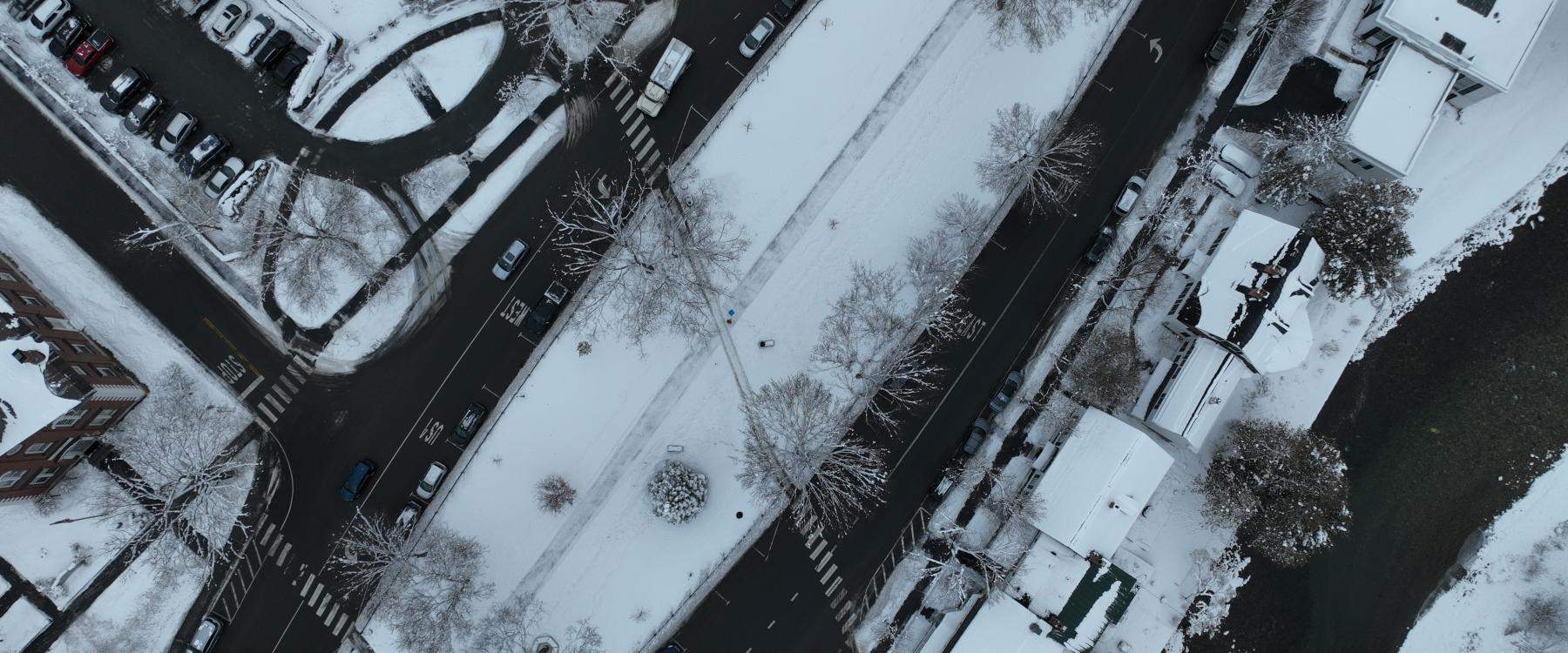 View of winter trees from above in Woodstock